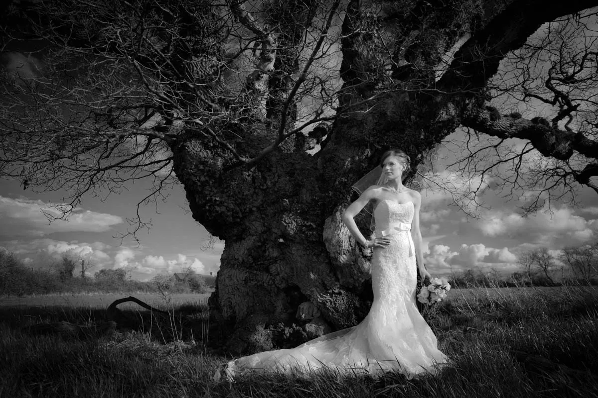 Fine art bridal portrait beneath a great oak, in black and white